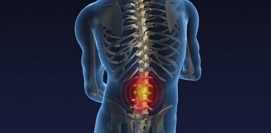 Lumbar Saila